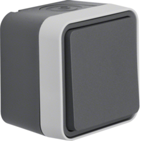 Afbeeldingen van WISSELSCHAKELAAR MET OPB. BEH. W.1 GRIJS IP55