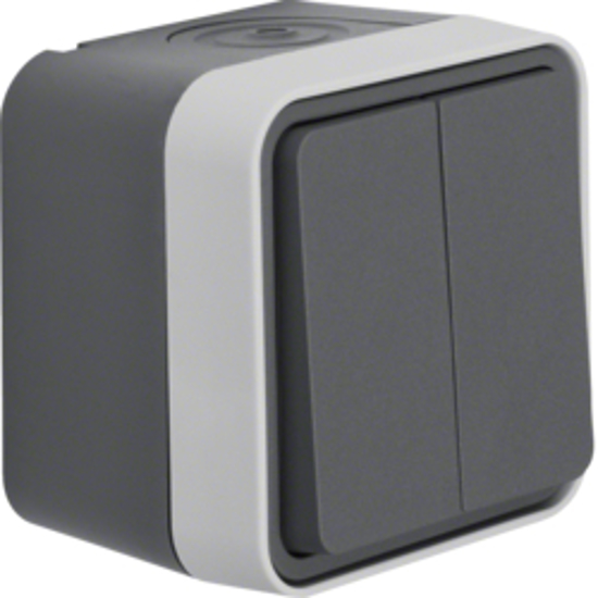 Afbeeldingen van SERIESCHAKELAAR MET OPB. BEH. W.1 GRIJS IP55